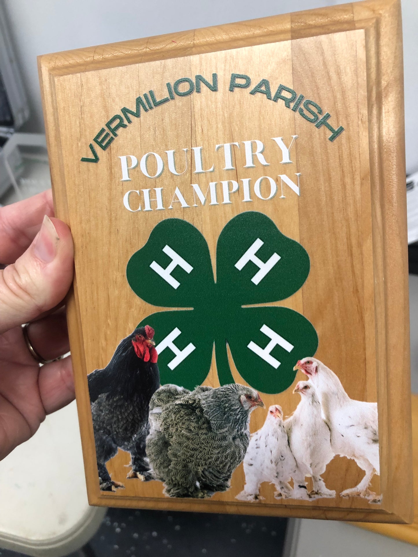 Full Color Printed Bamboo Plaque